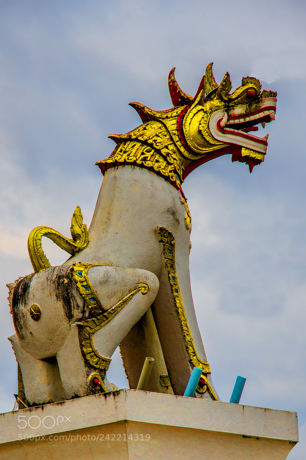 Nikon D850 sample photo. Singha photography
