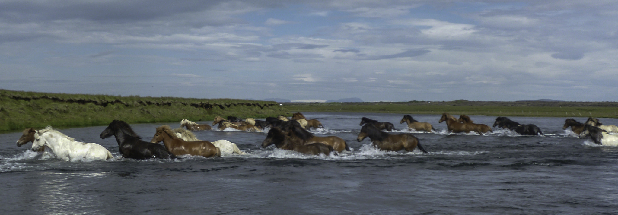 Panasonic DMC-FS40 sample photo. Horse trip on icelandic horses photography