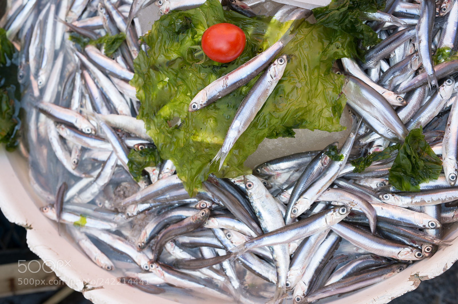 Nikon Df sample photo. Anchovies exposed in market photography