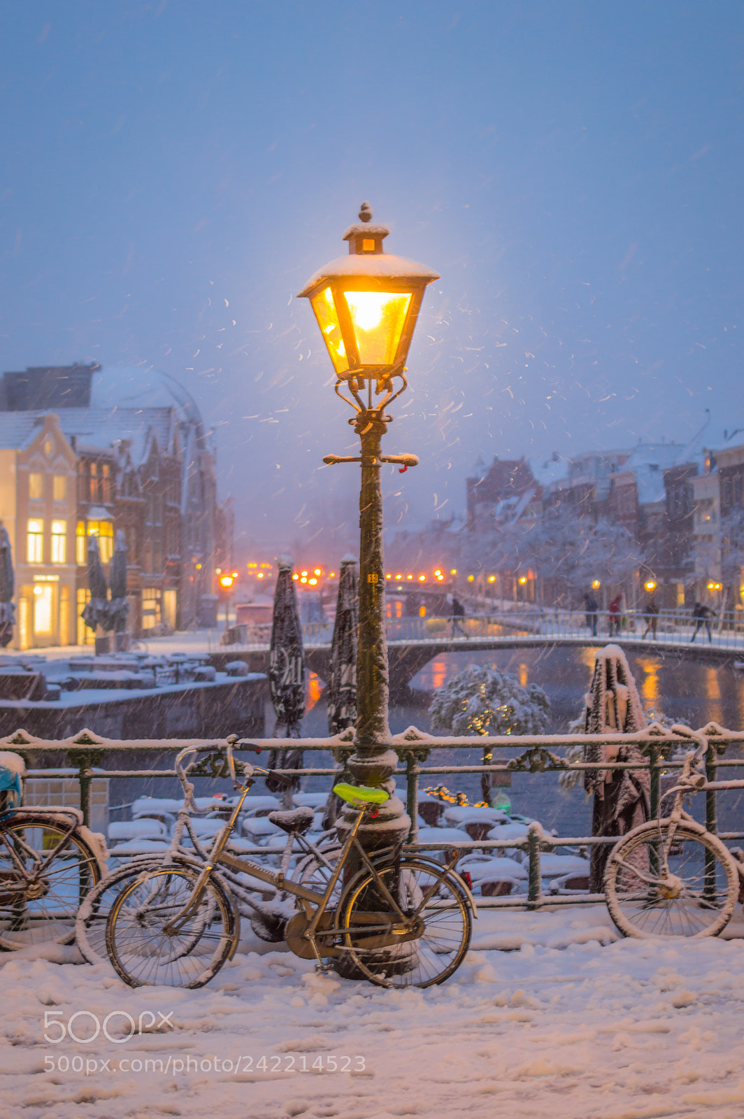 Nikon D3200 sample photo. Snow in leiden photography