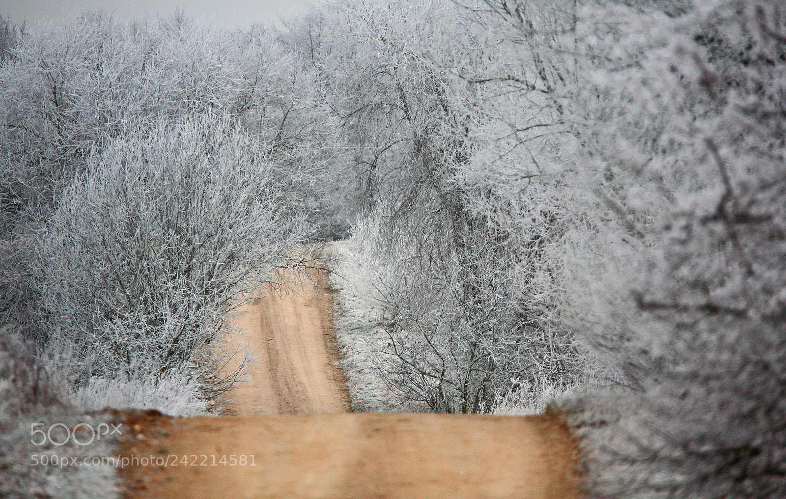 Canon EOS 5D sample photo. Country road photography