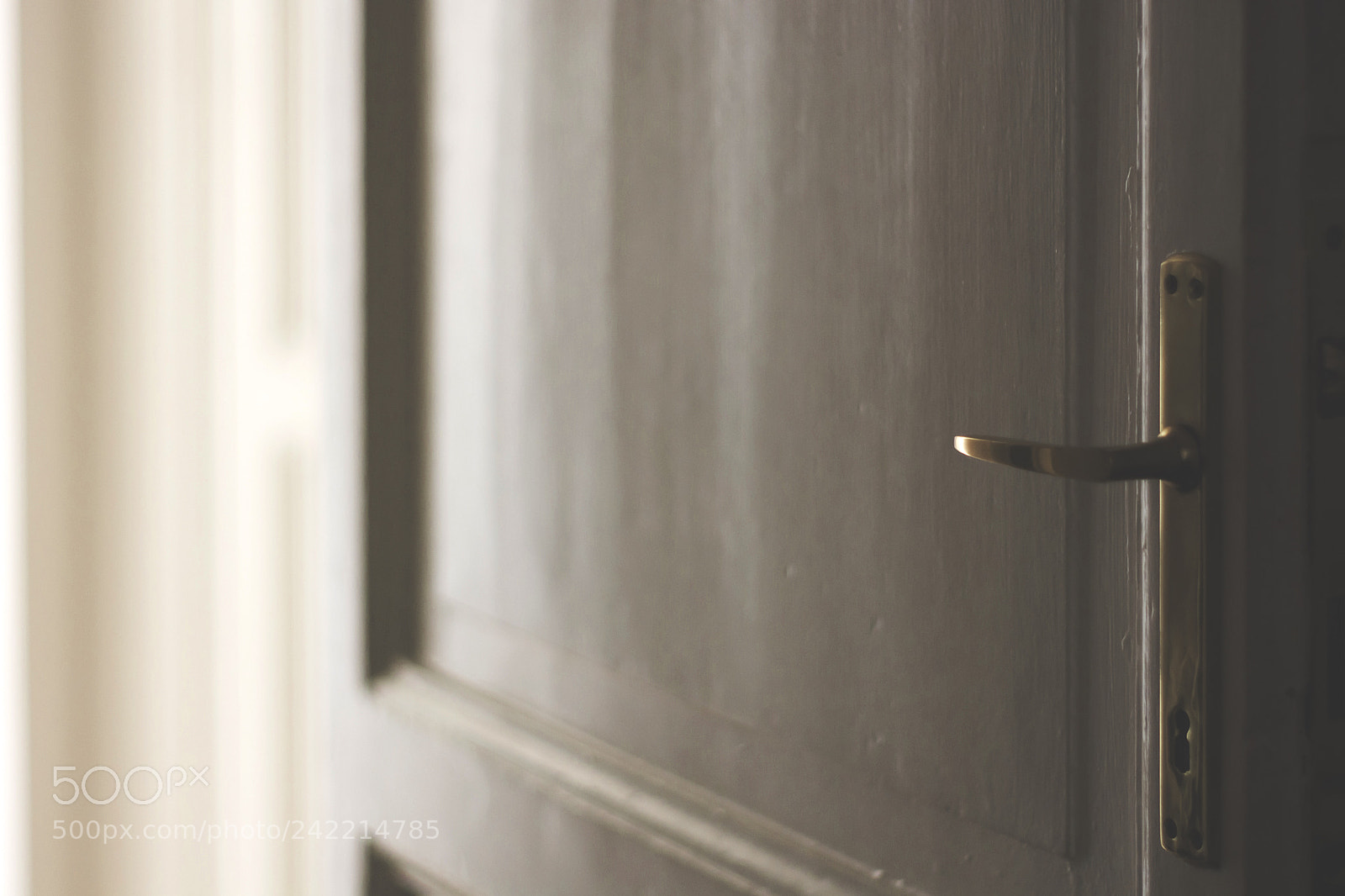 Nikon D7100 sample photo. Vintage door handle photography