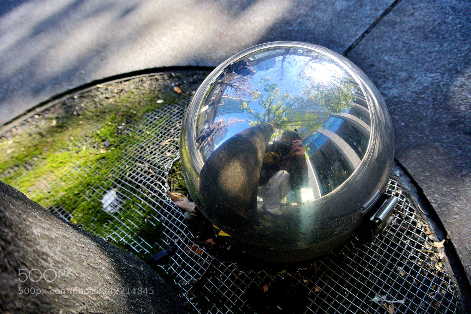 Nikon 1 V1 sample photo. A whole world photography