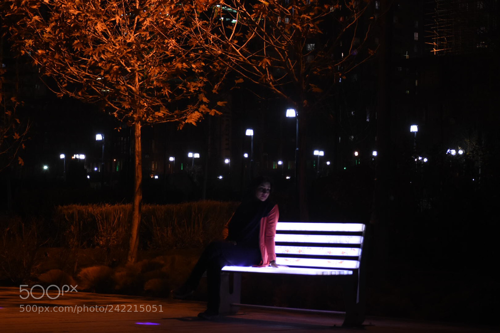 Nikon D7200 sample photo. Tehran-iran photography