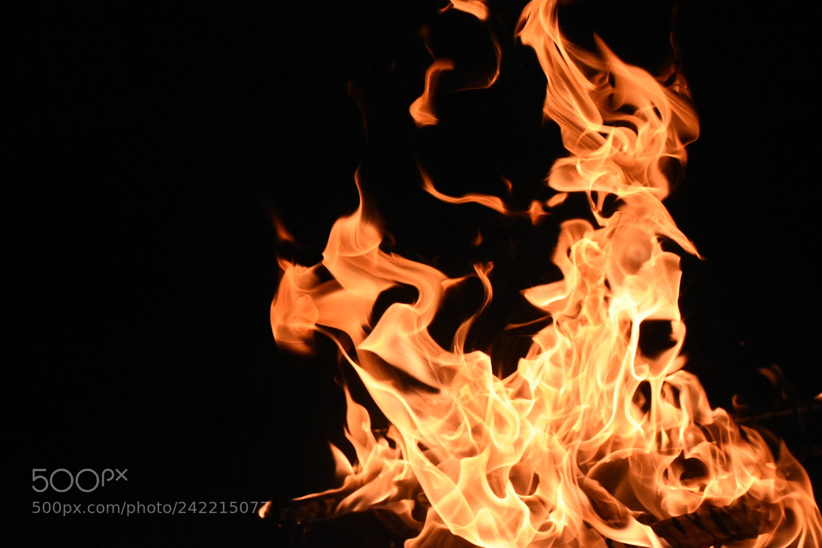 Nikon D7200 sample photo. Untitled photography