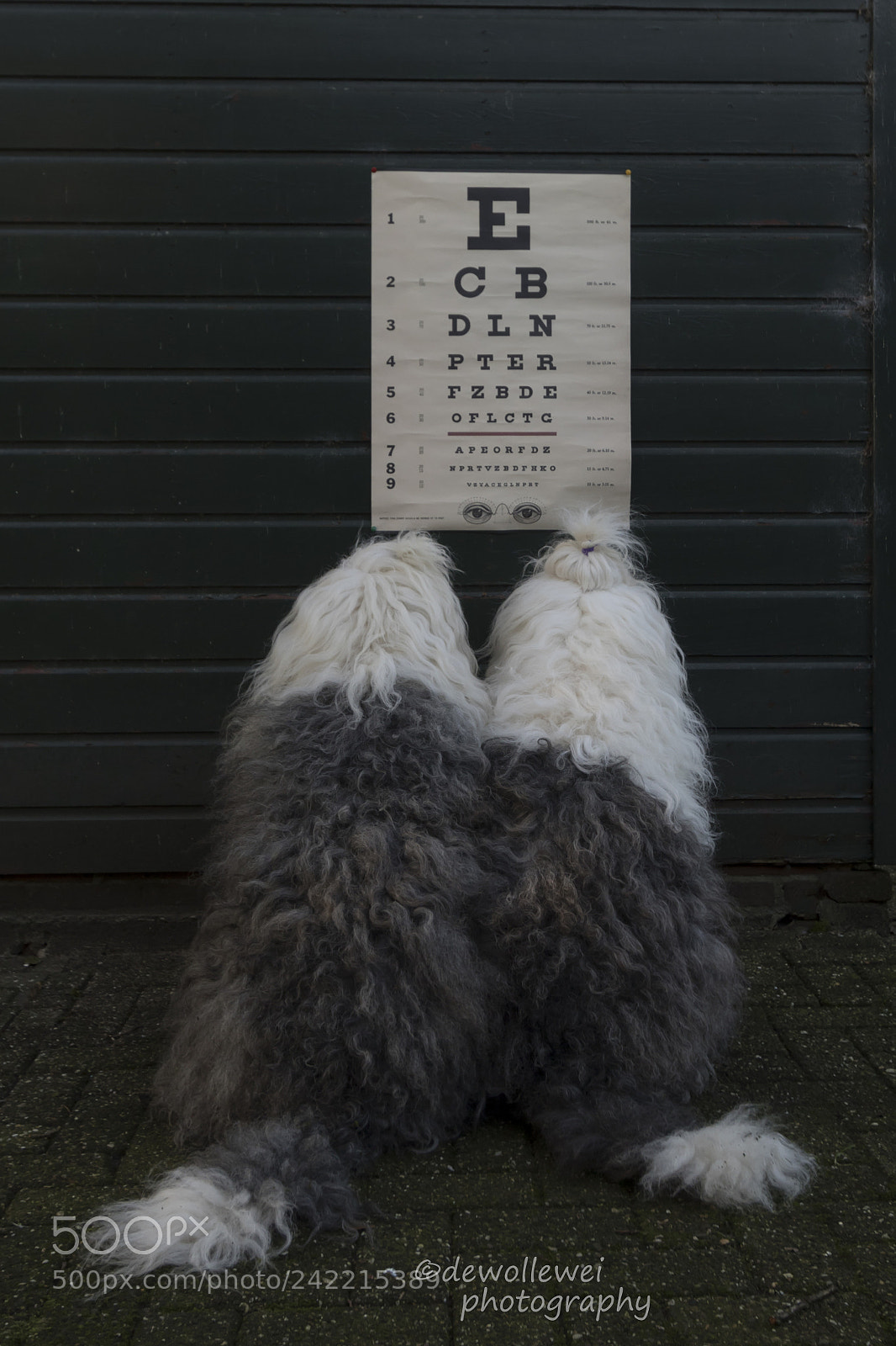 Canon EOS 7D Mark II sample photo. Hmm.. how are your photography