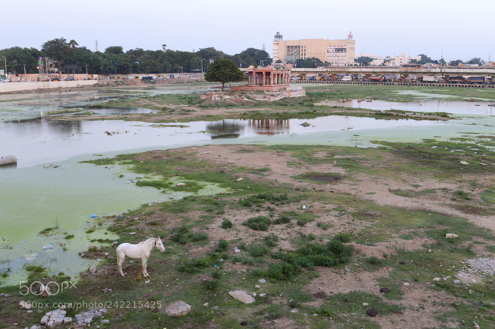 Nikon D3200 sample photo. Vaigai river photography
