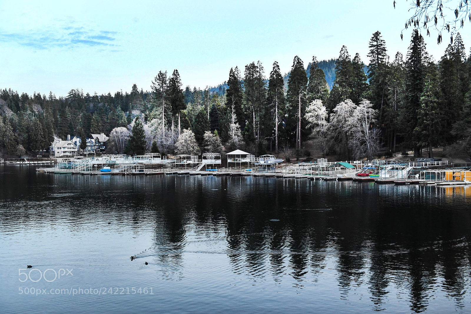 Nikon D5 sample photo. Arrowhead lake, ca photography