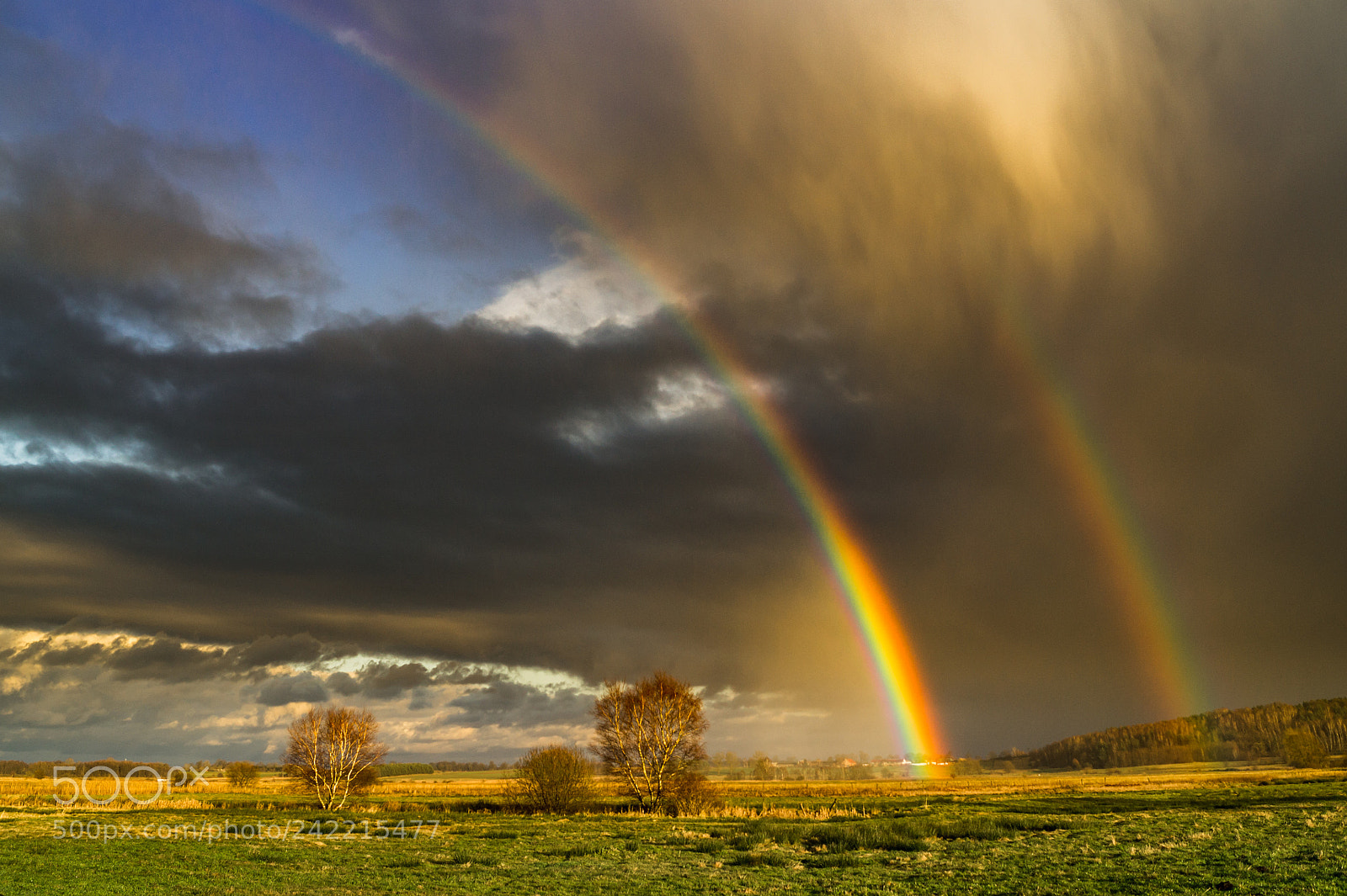 Sony SLT-A58 sample photo. Under the rainbow photography