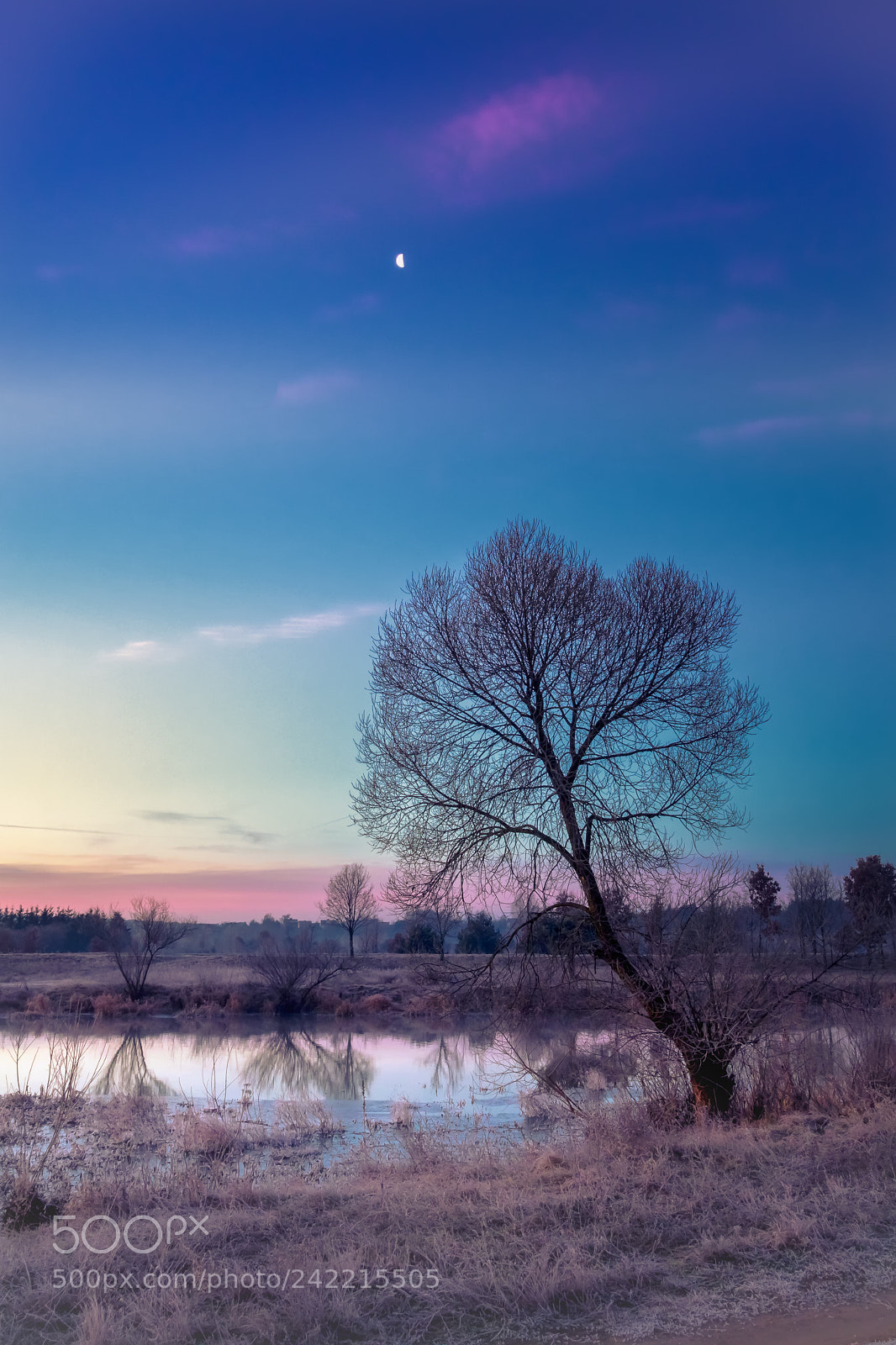 Olympus PEN E-PL6 sample photo. Small moon photography