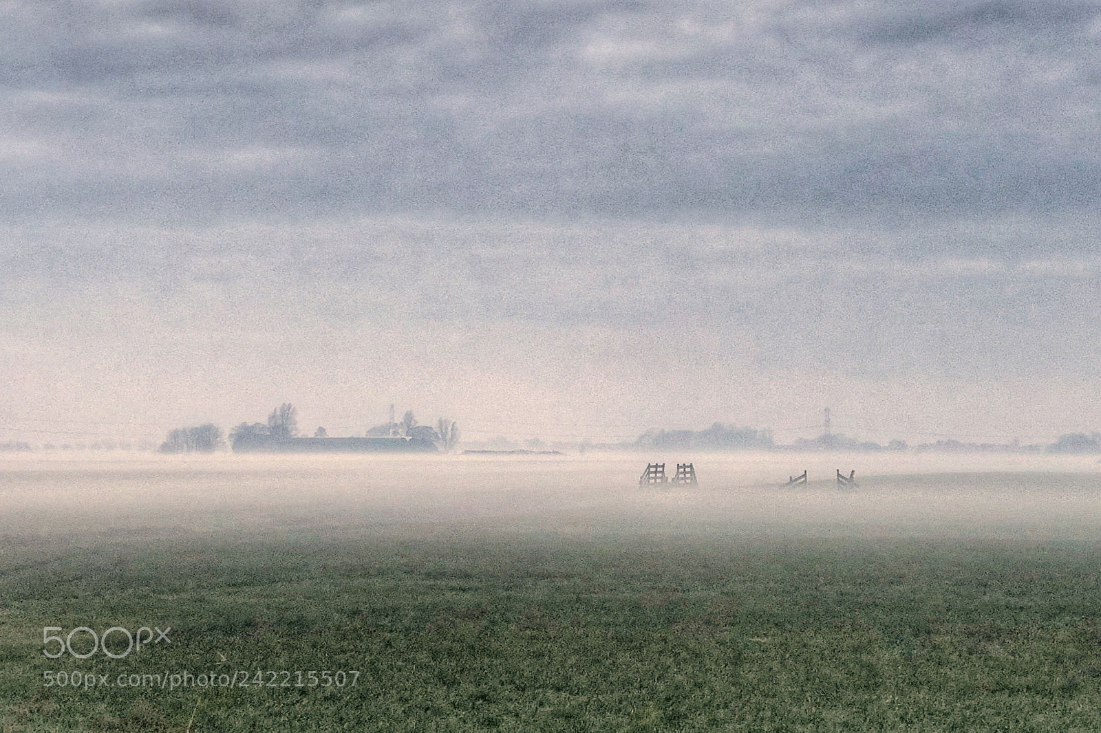 Apple iPhone X sample photo. Dutch mist. photography