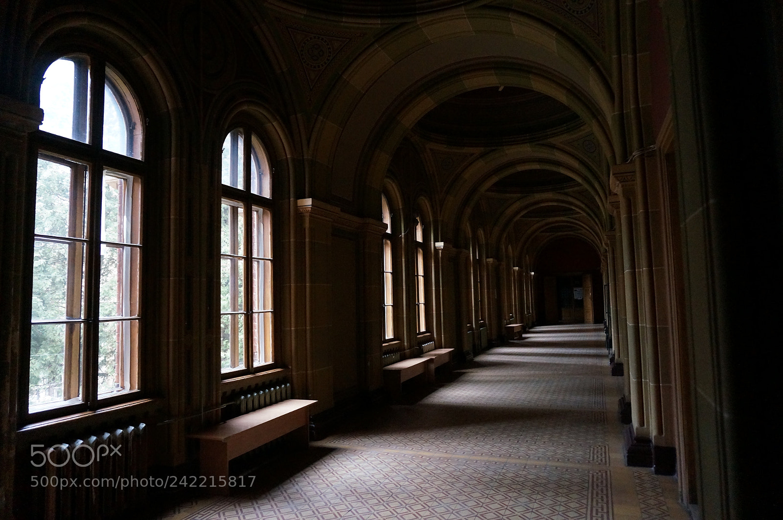 Sony Alpha NEX-5T sample photo. Halls of the chernivtsi photography