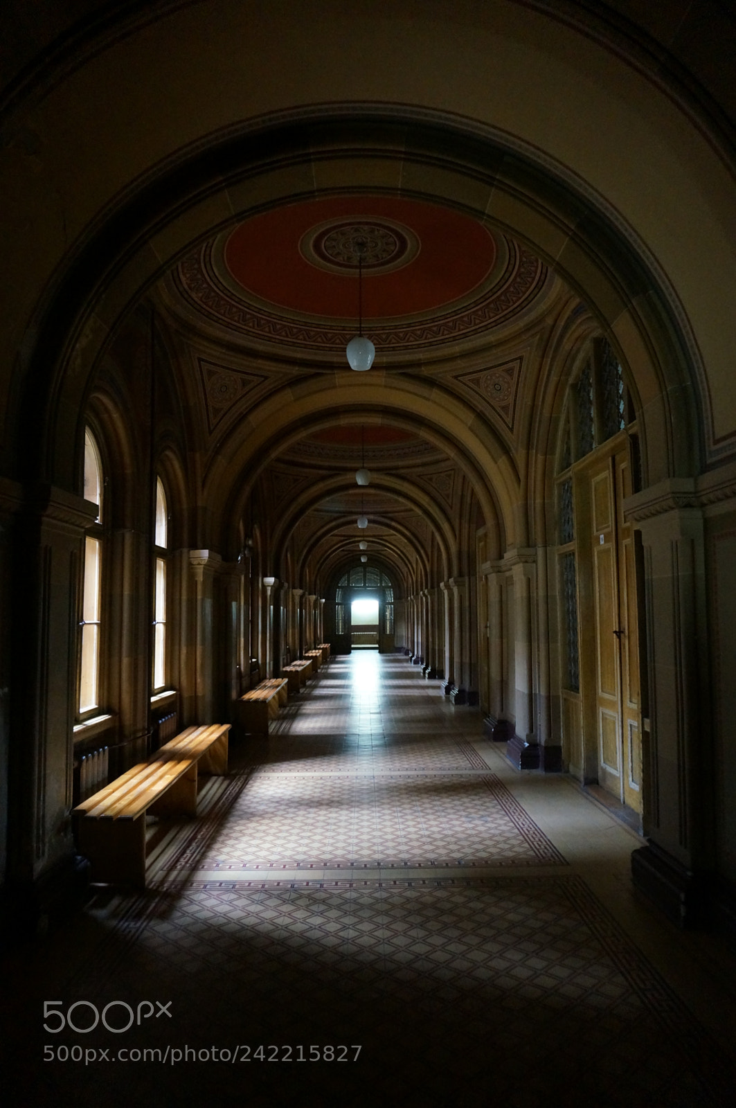 Sony Alpha NEX-5T sample photo. Halls of the chernivtsi photography