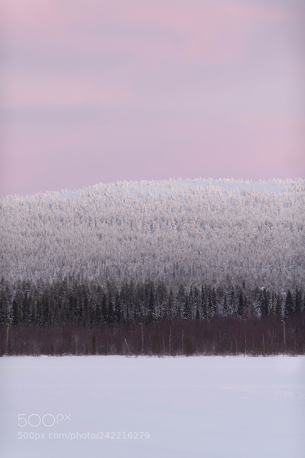 Nikon D5 sample photo. Winter photography