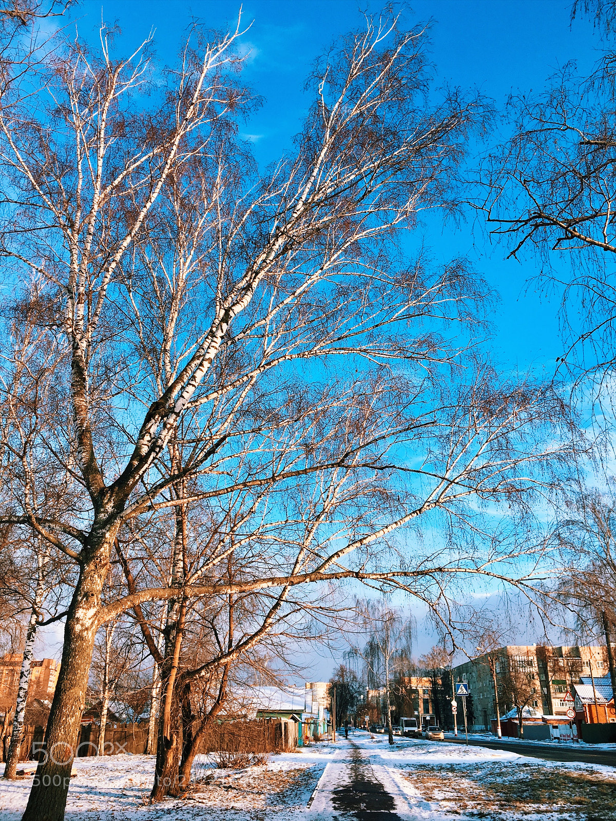 Apple iPhone 6s sample photo. Untitled photography