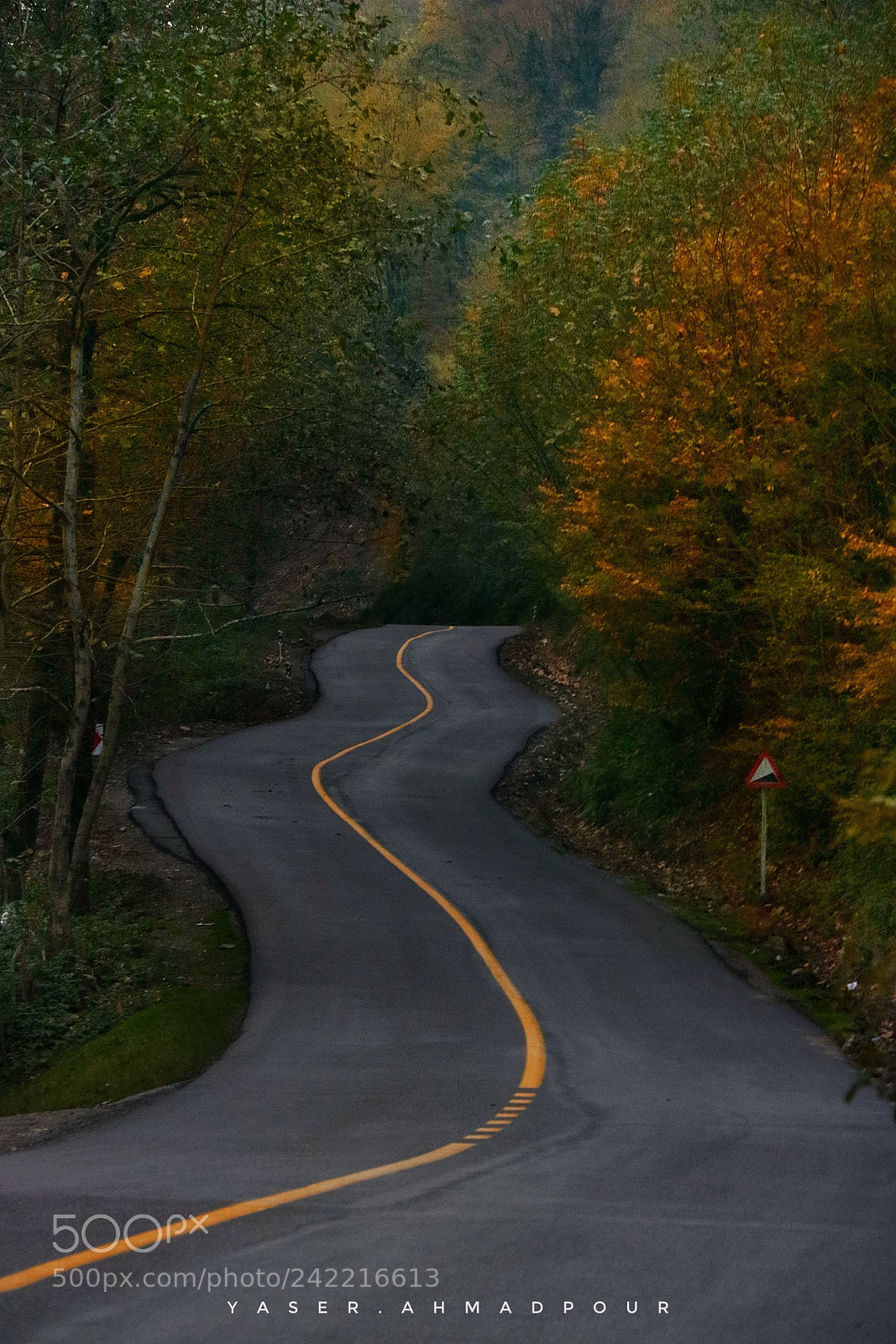 Canon EOS 760D (EOS Rebel T6s / EOS 8000D) sample photo. Road in the amazing photography