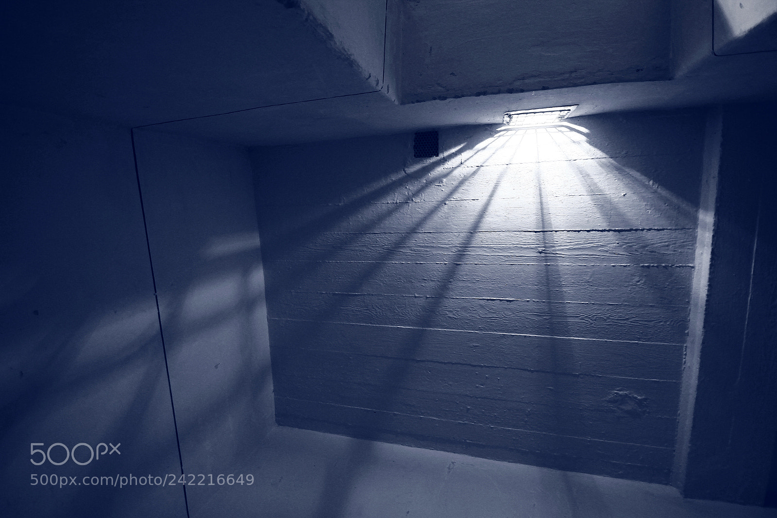 Canon EOS 60D sample photo. Light sentence photography