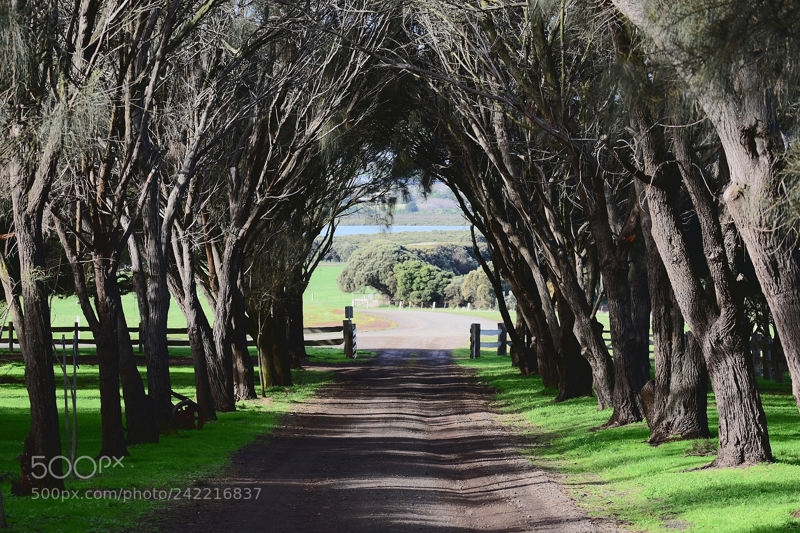 Nikon D5500 sample photo. Untitled photography