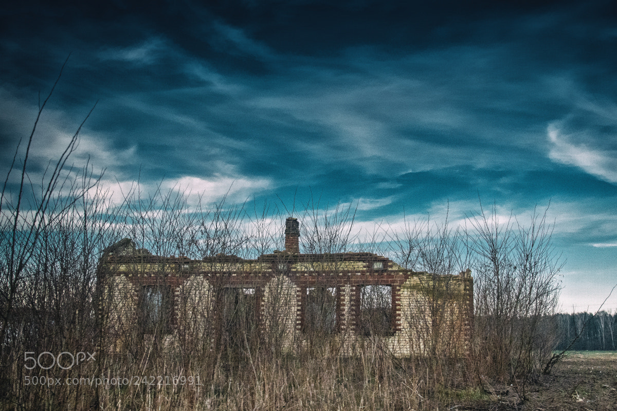 Nikon D500 sample photo. Rural reality 2 photography