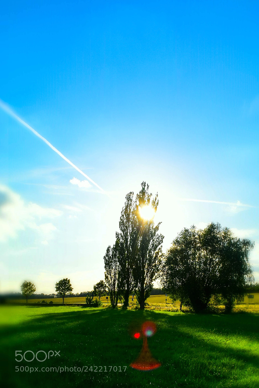 Nikon D5500 sample photo. Untitled photography