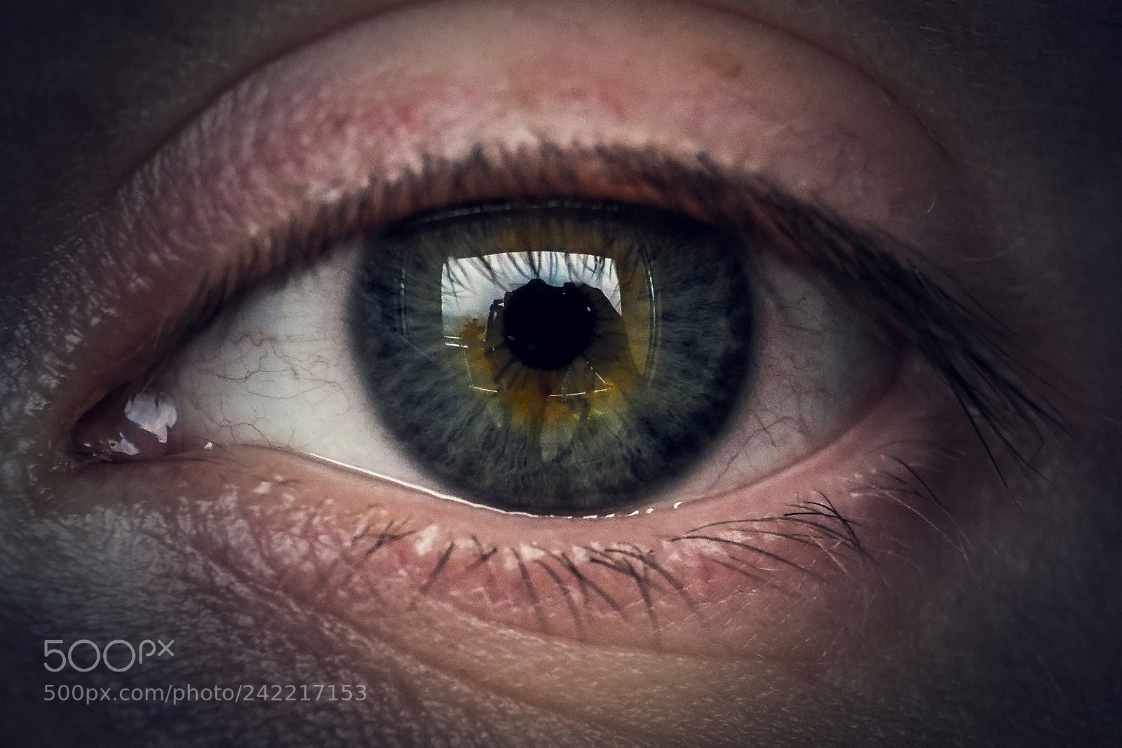 Olympus OM-D E-M10 II sample photo. The eye... photography