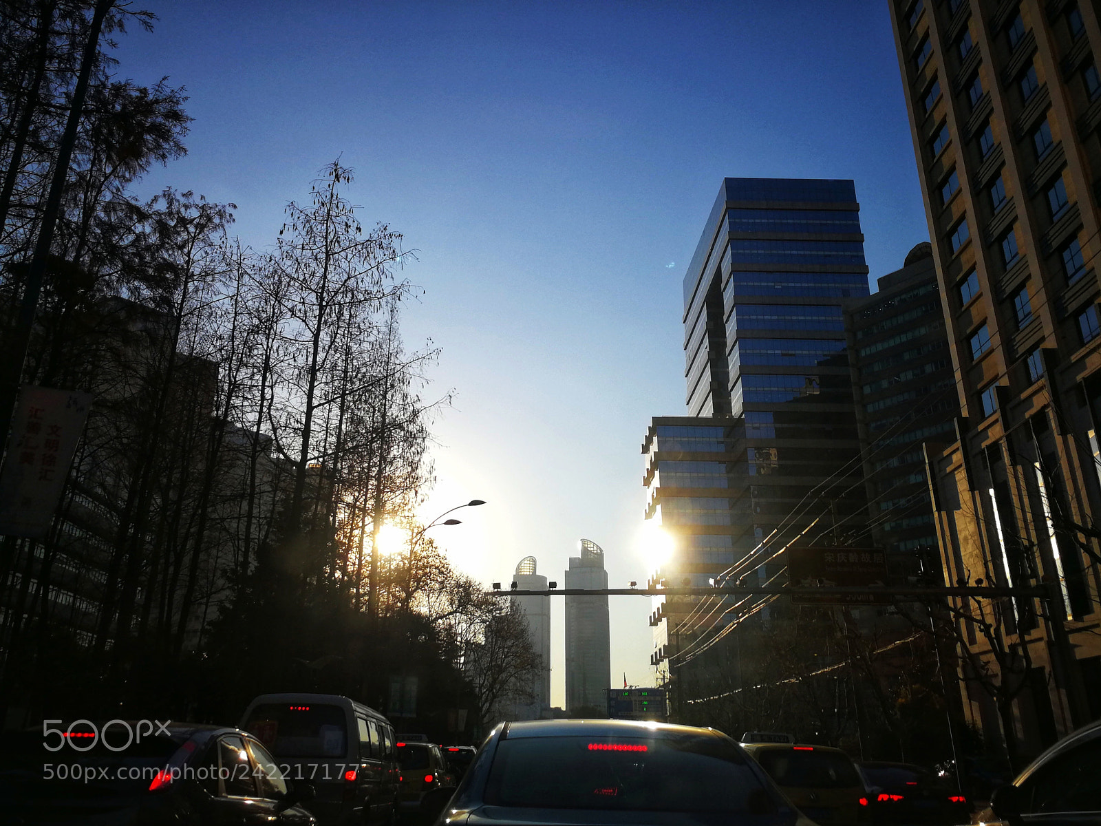 HUAWEI P10 sample photo. Untitled photography