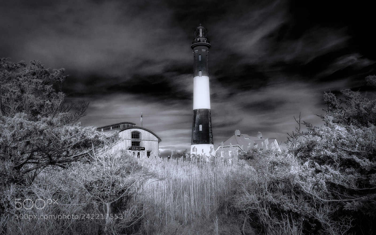 Nikon D850 sample photo. Light the lighthouse photography