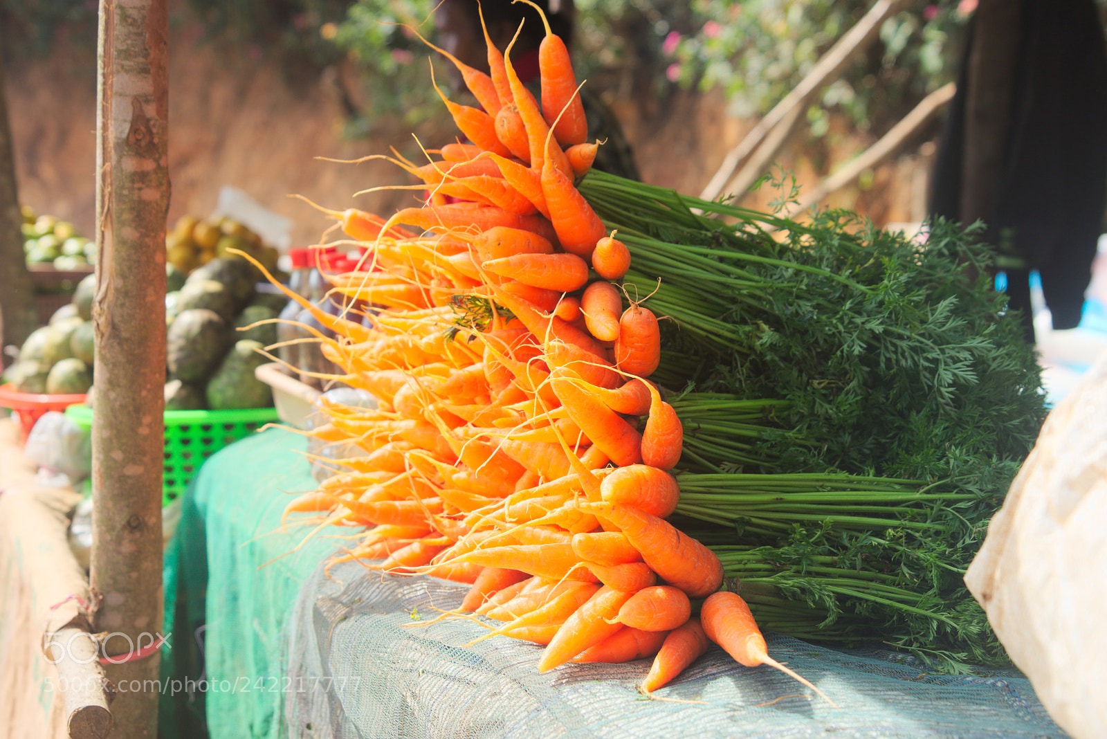 Sony a7 sample photo. Carrots photography