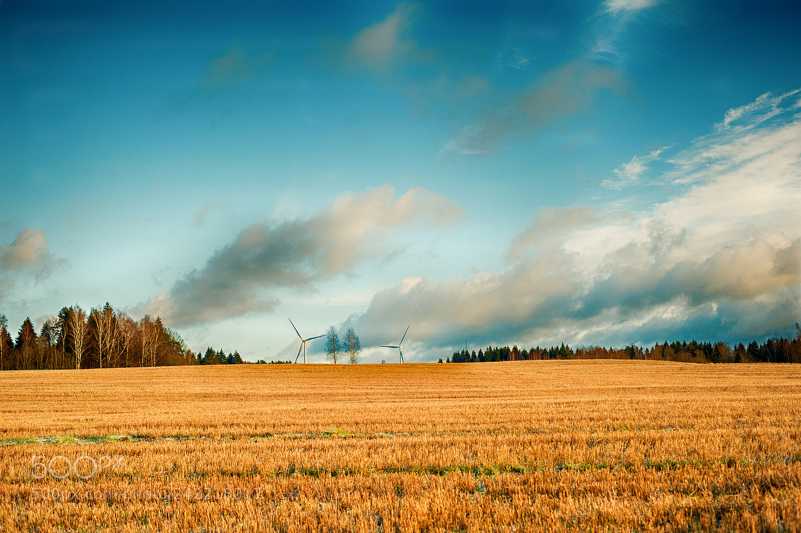 Nikon D3 sample photo. Through the fields photography