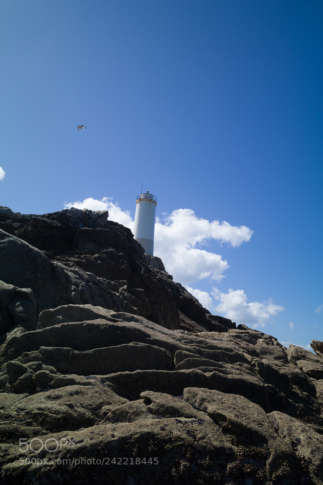Leica M9 sample photo. The death coast in photography