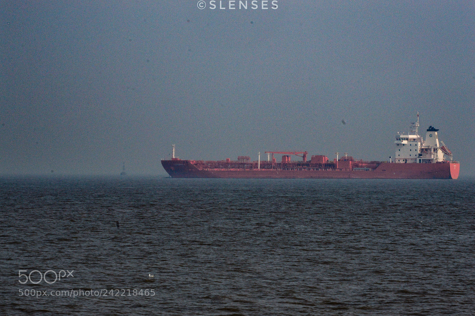 Nikon D3200 sample photo. #shigull photography