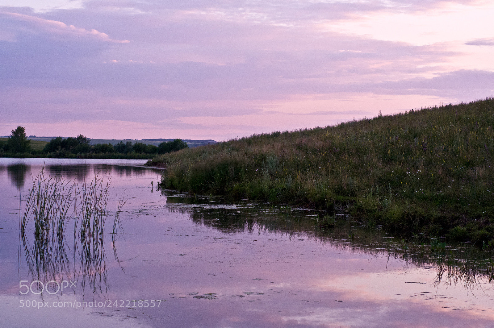 Nikon D90 sample photo. The first rays of photography