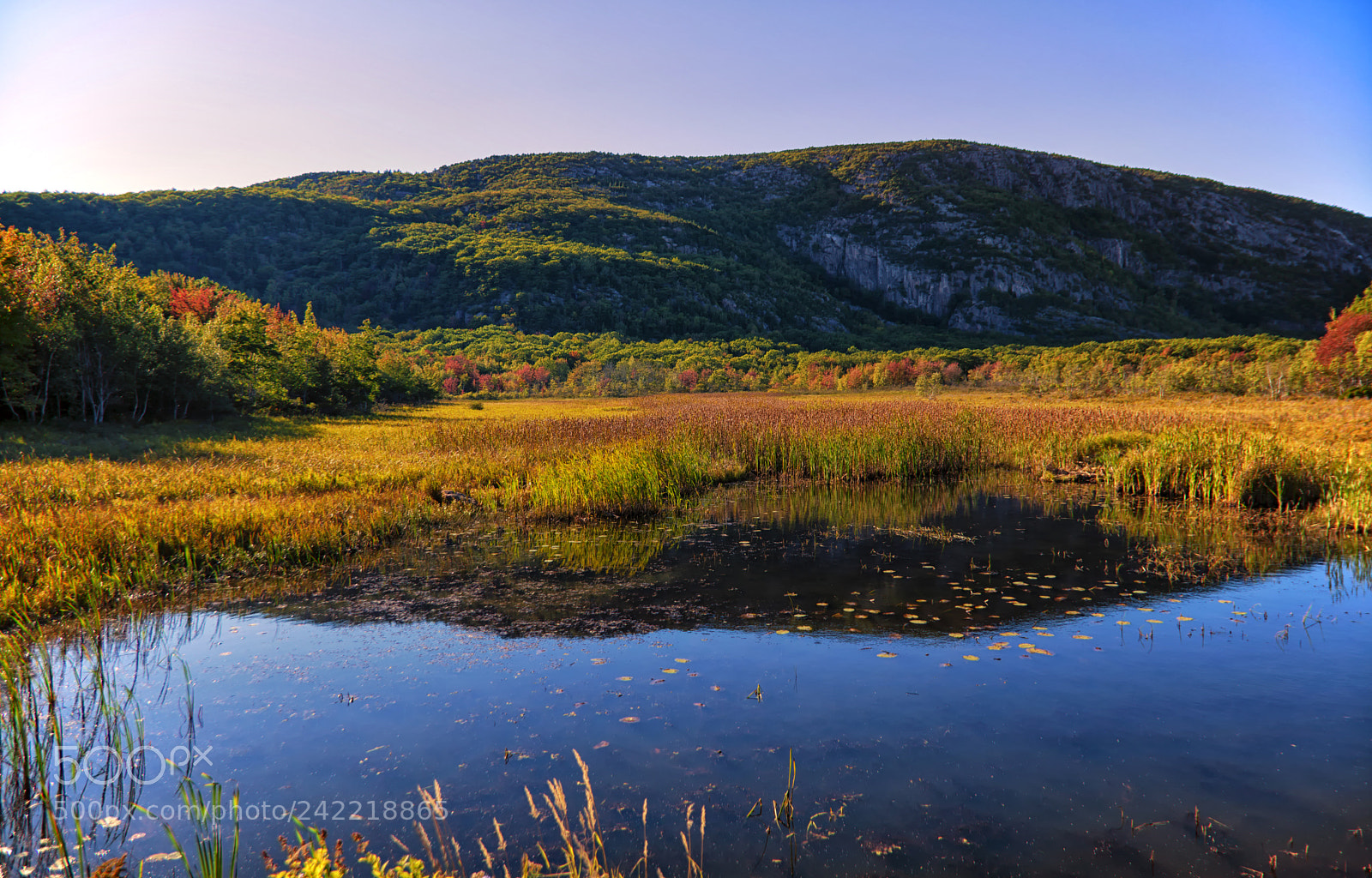 Nikon D7100 sample photo. A fall day in photography