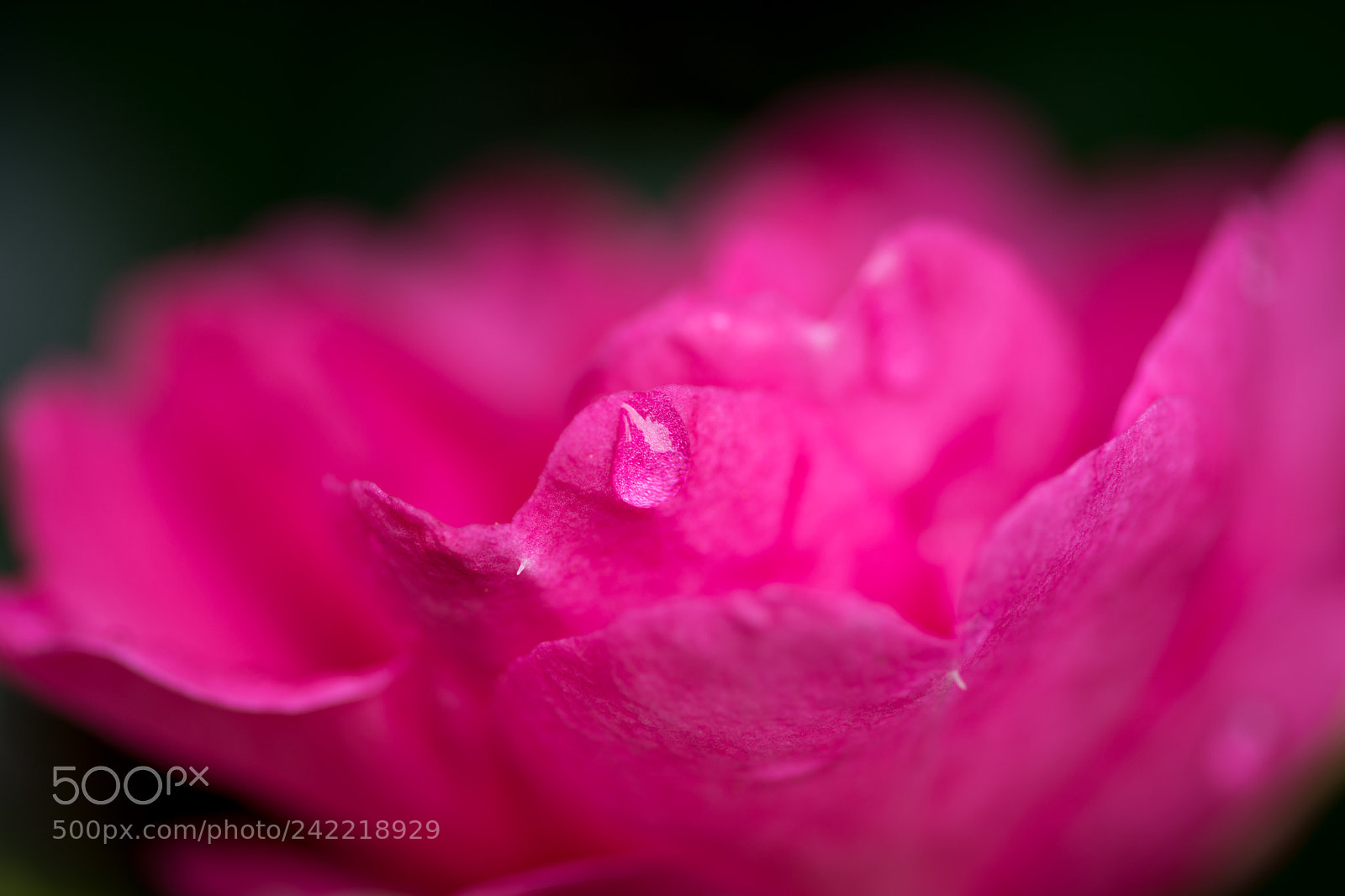 Nikon D7100 sample photo. As you see it photography