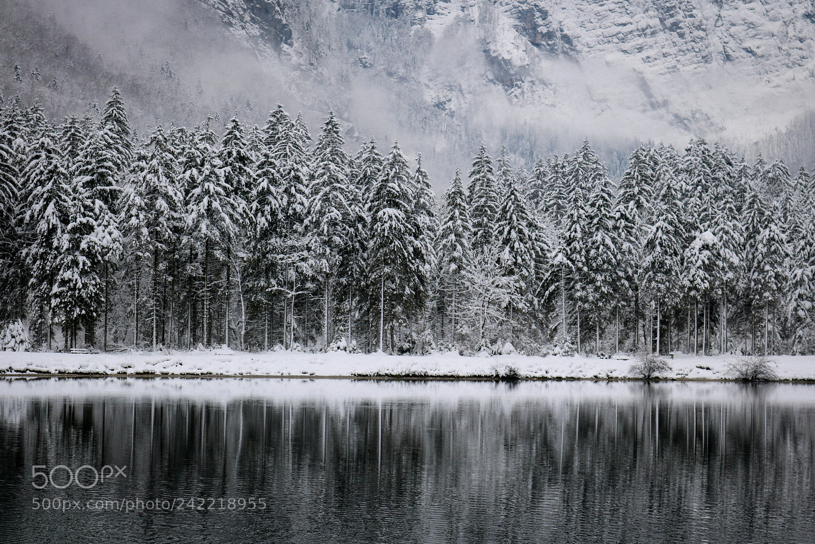 Canon EOS 750D (EOS Rebel T6i / EOS Kiss X8i) sample photo. Winterkälte... photography