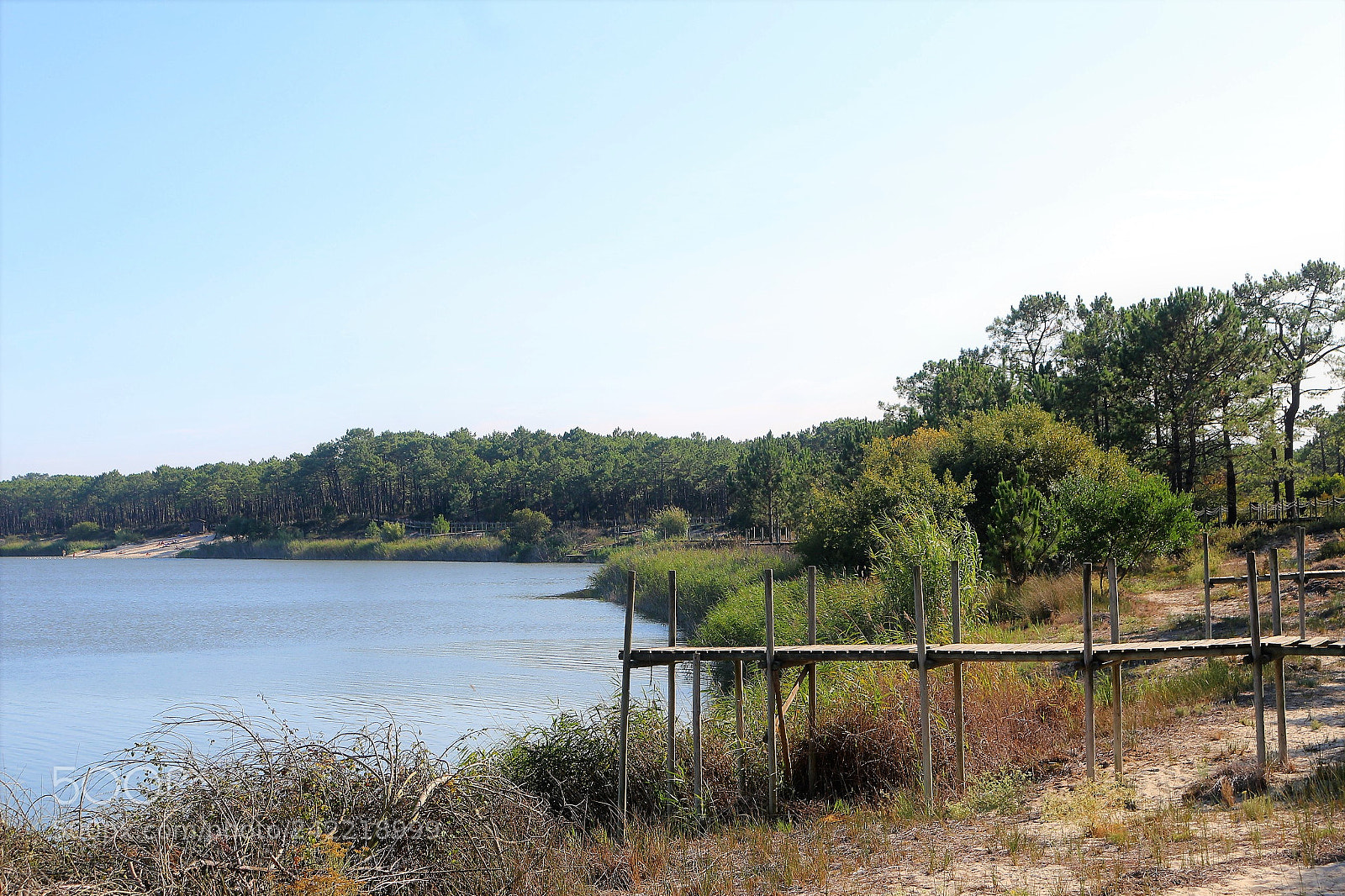 Canon EOS 100D (EOS Rebel SL1 / EOS Kiss X7) sample photo. The lake photography