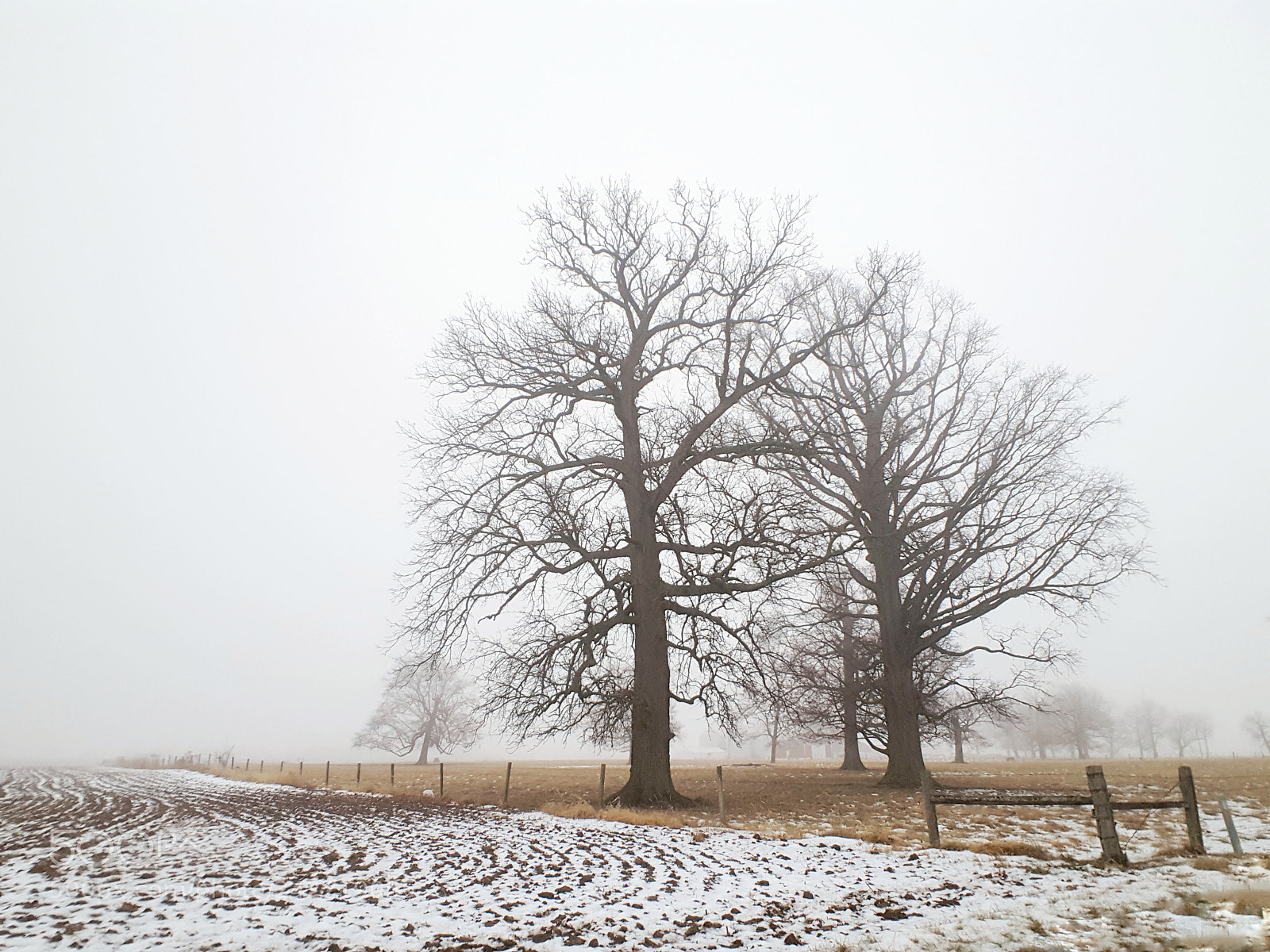 Samsung GALAXY S6 edge sample photo. Foggy winter morning photography