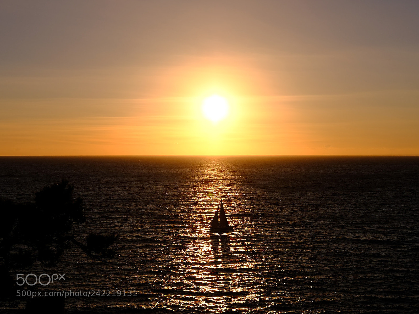 Fujifilm X-T2 sample photo. Sailing in sunlight photography
