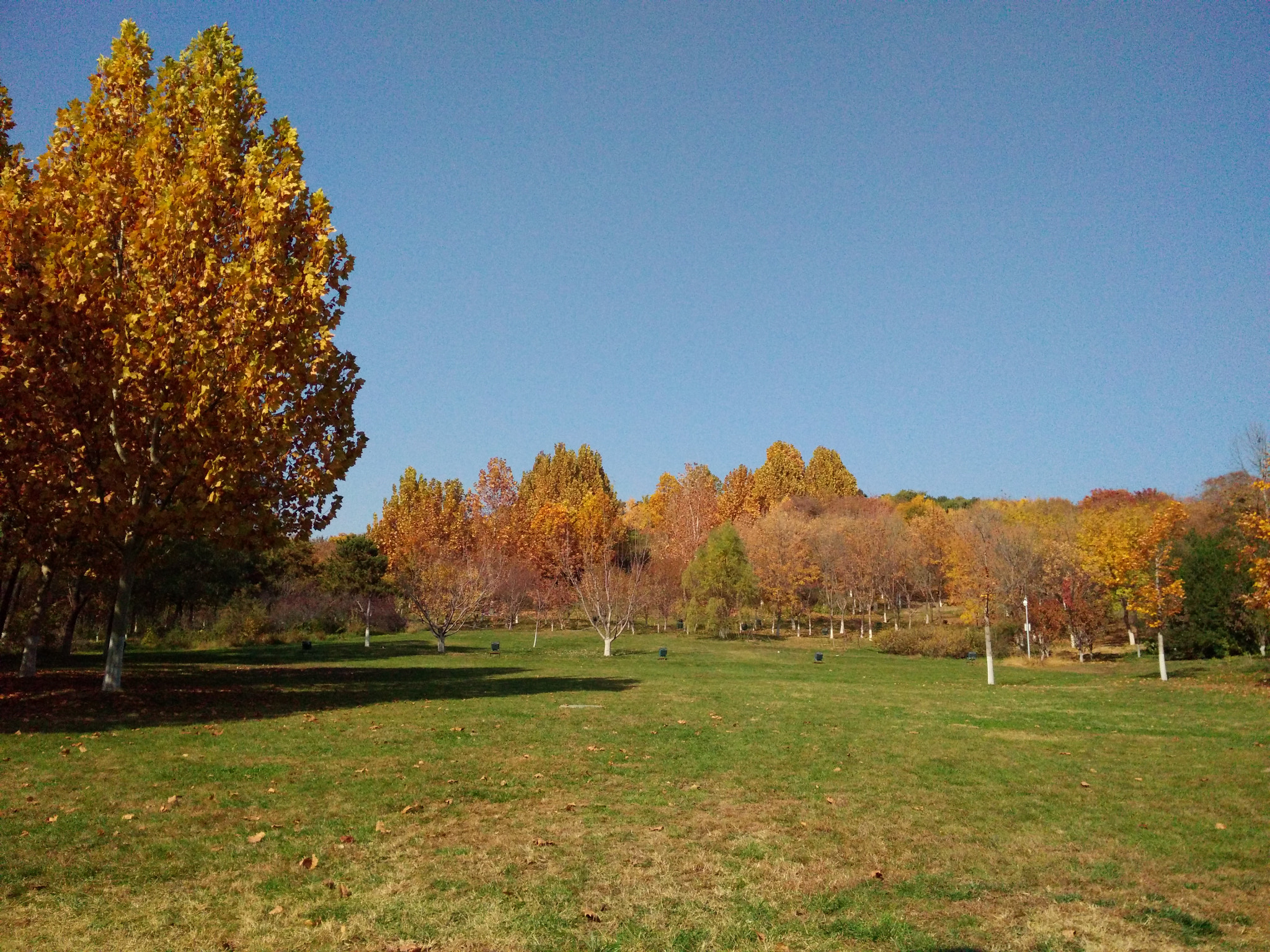 OPPO N3 sample photo. Img photography