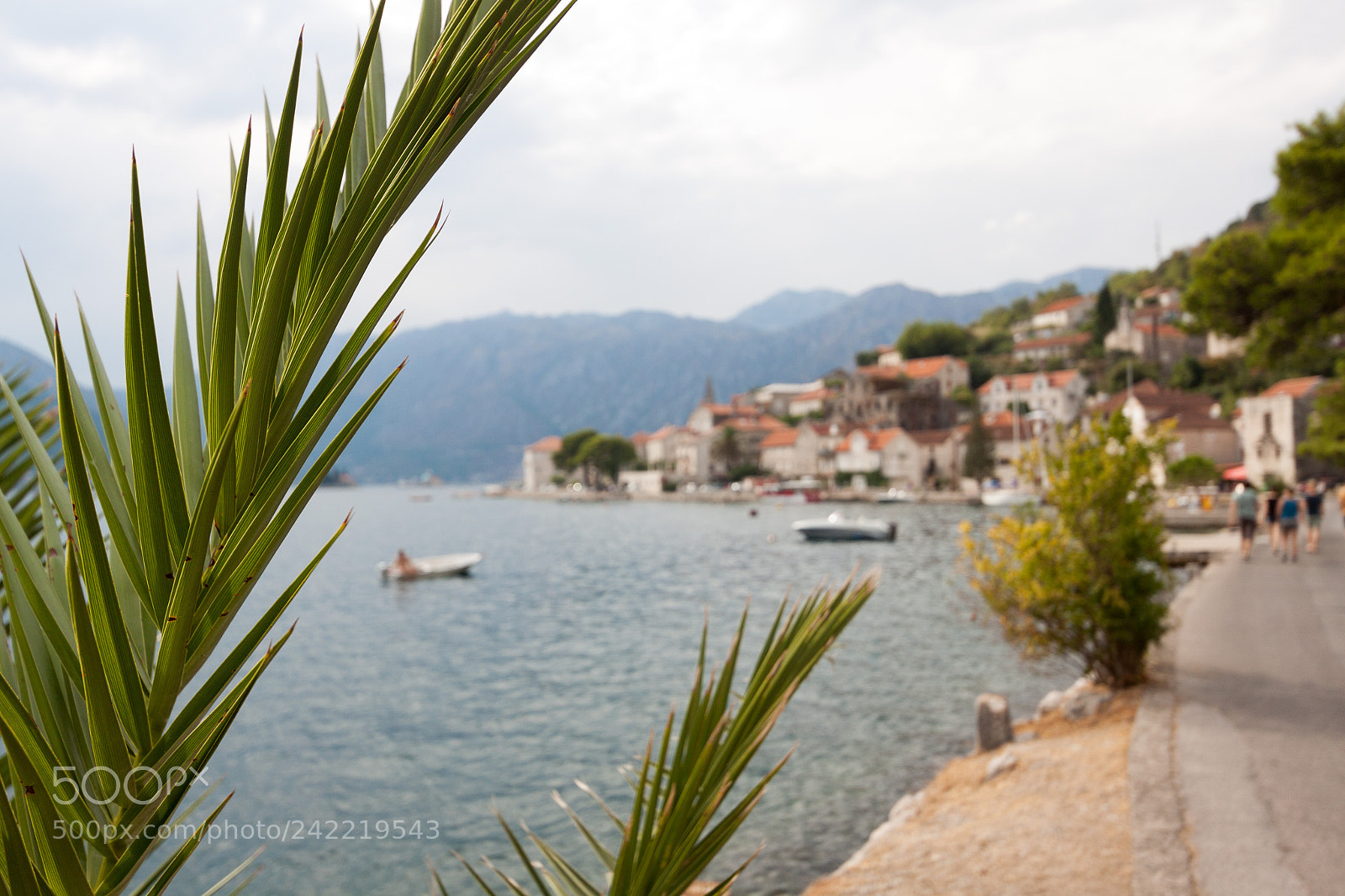 Canon EOS 50D sample photo. Perast through the greens photography