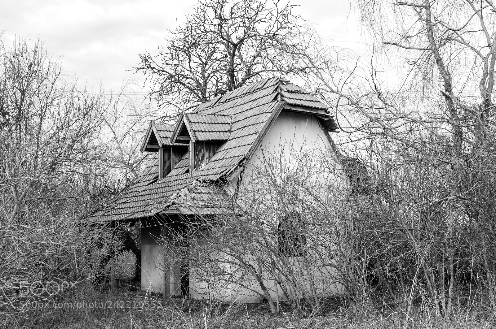 Nikon D90 sample photo. Abandoned photography