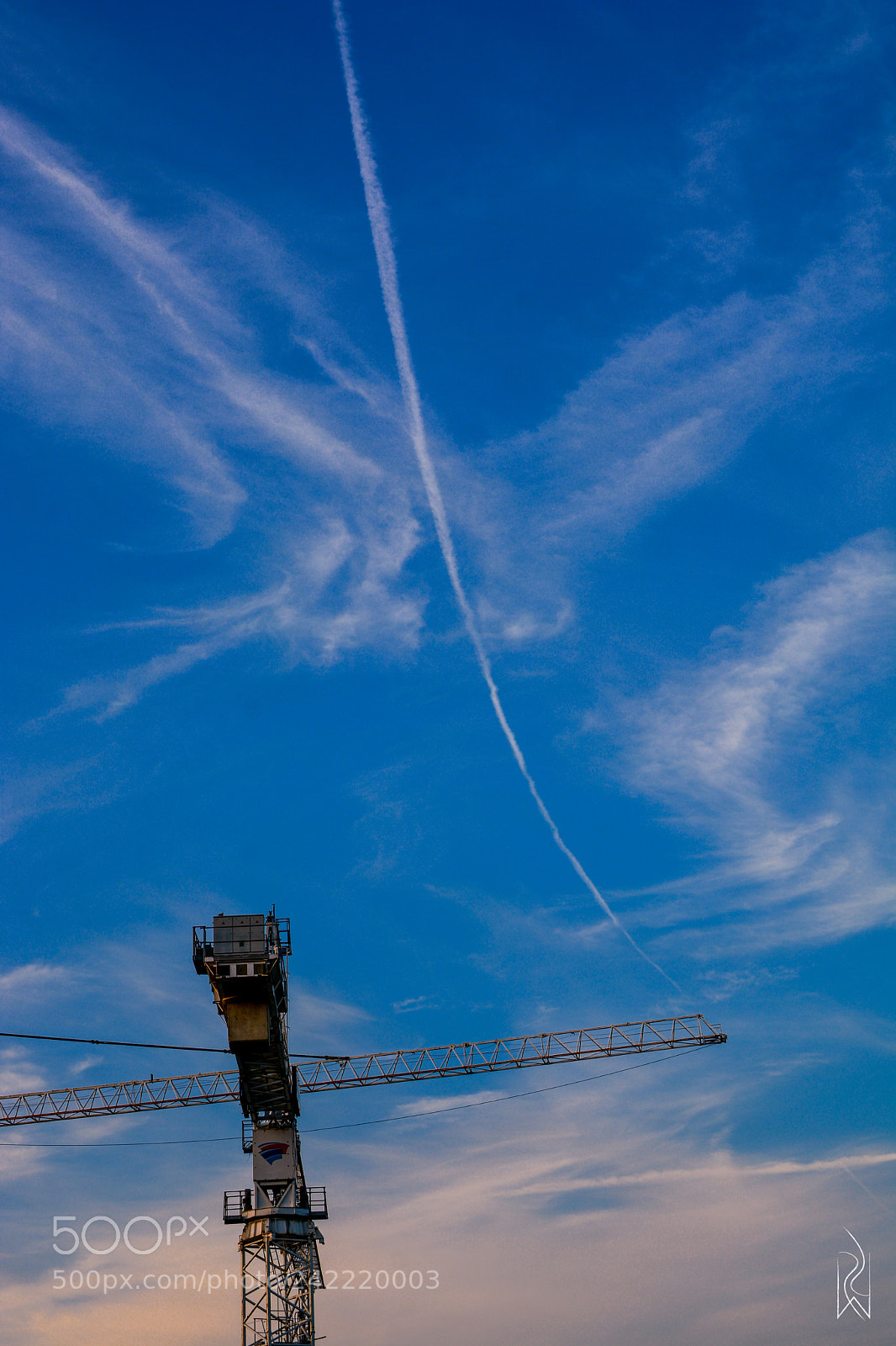 Nikon D7100 sample photo. Untitled photography