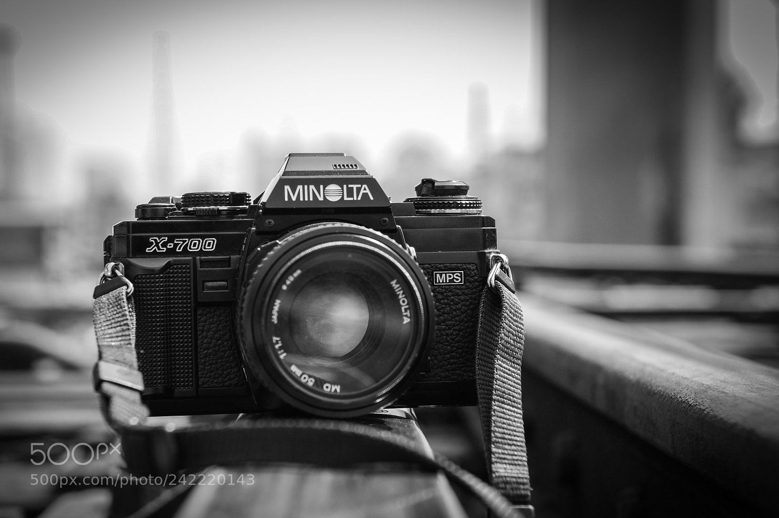 Nikon D700 sample photo. Untitled photography