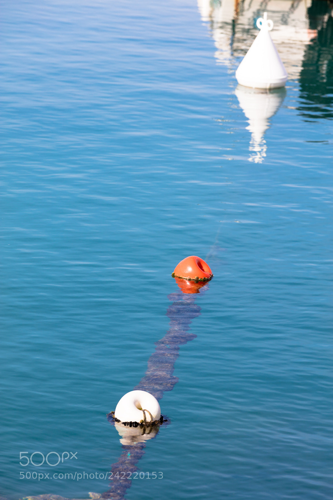 Canon EOS 5DS R sample photo. Buoys floating on harbor photography