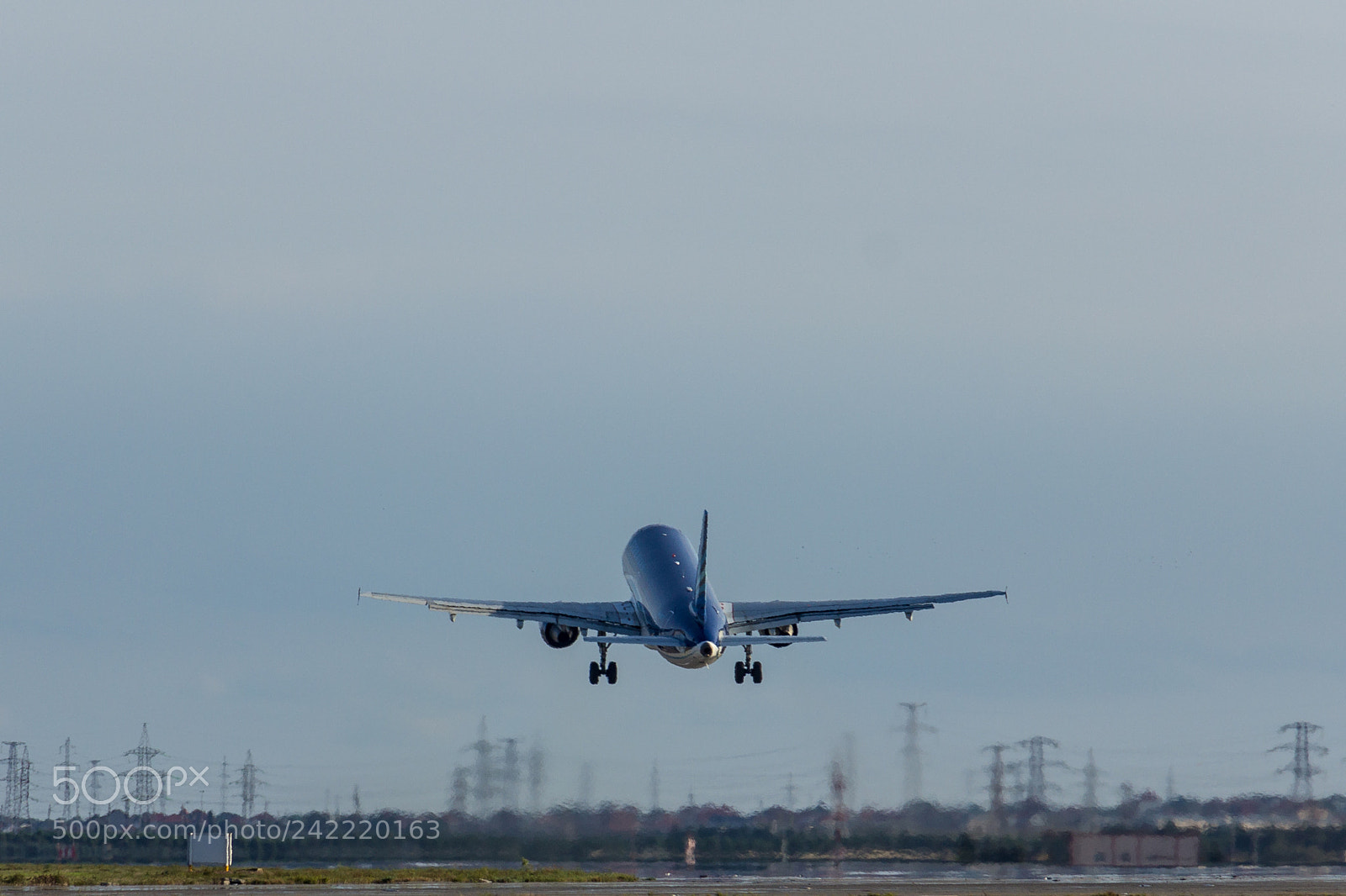 Canon EOS 60D sample photo. Fly away photography