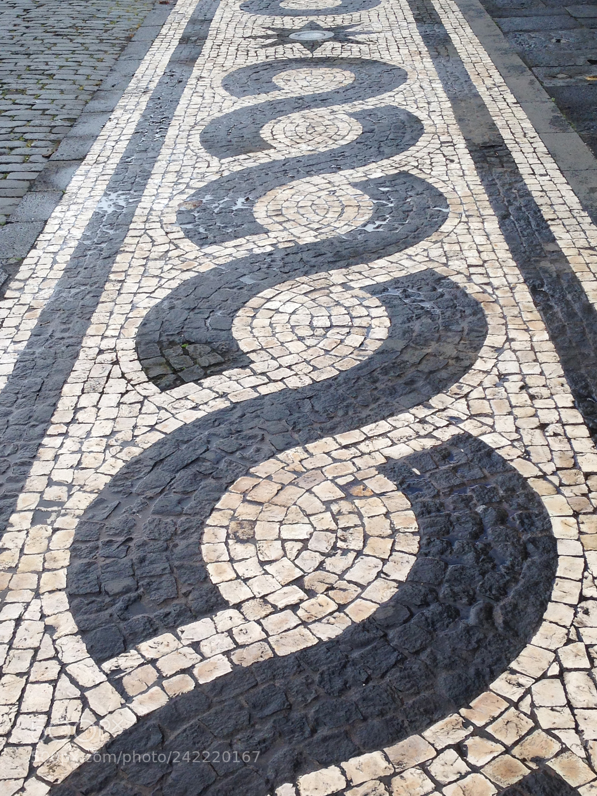 Apple iPhone 5 sample photo. Adores pathway photography