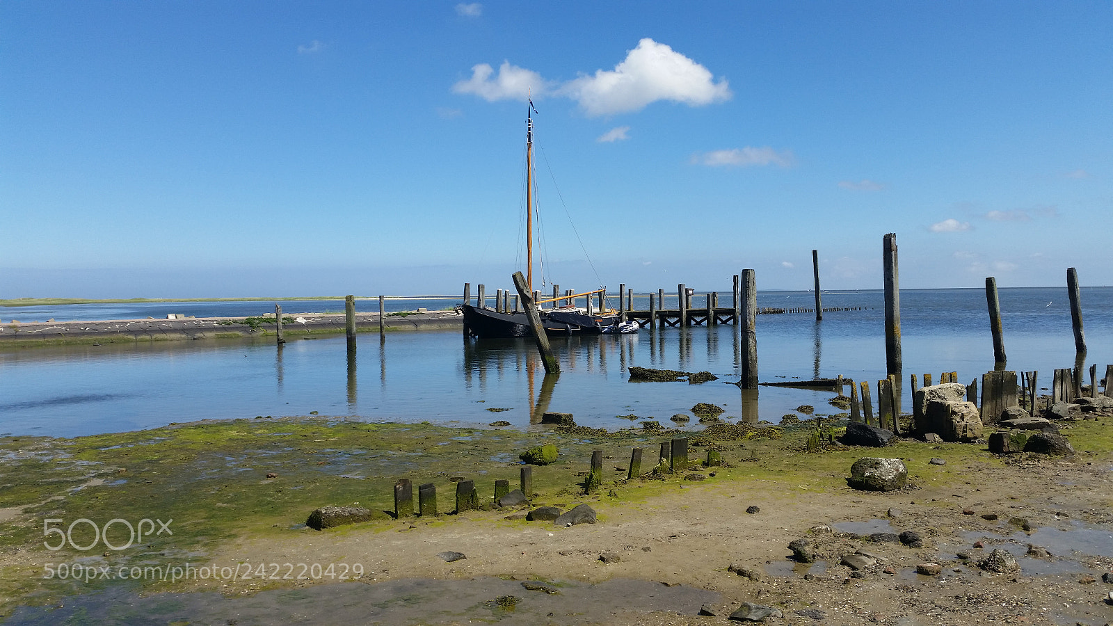 Samsung Galaxy S5 sample photo. 20160622_123257.jpg photography