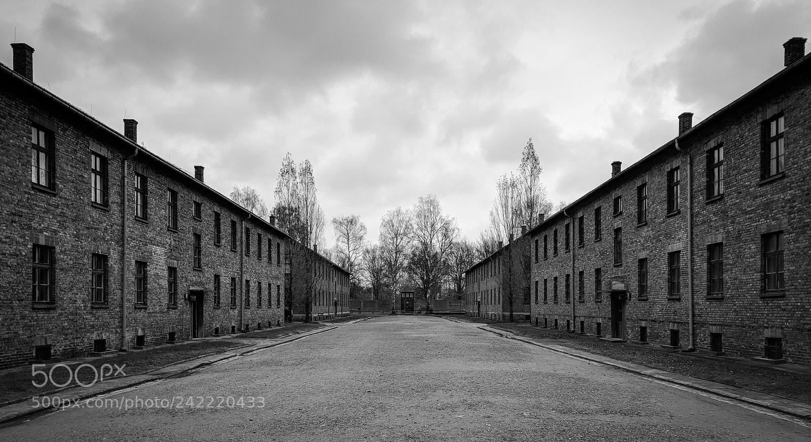 Google Nexus 6P sample photo. Auschwitz iii photography
