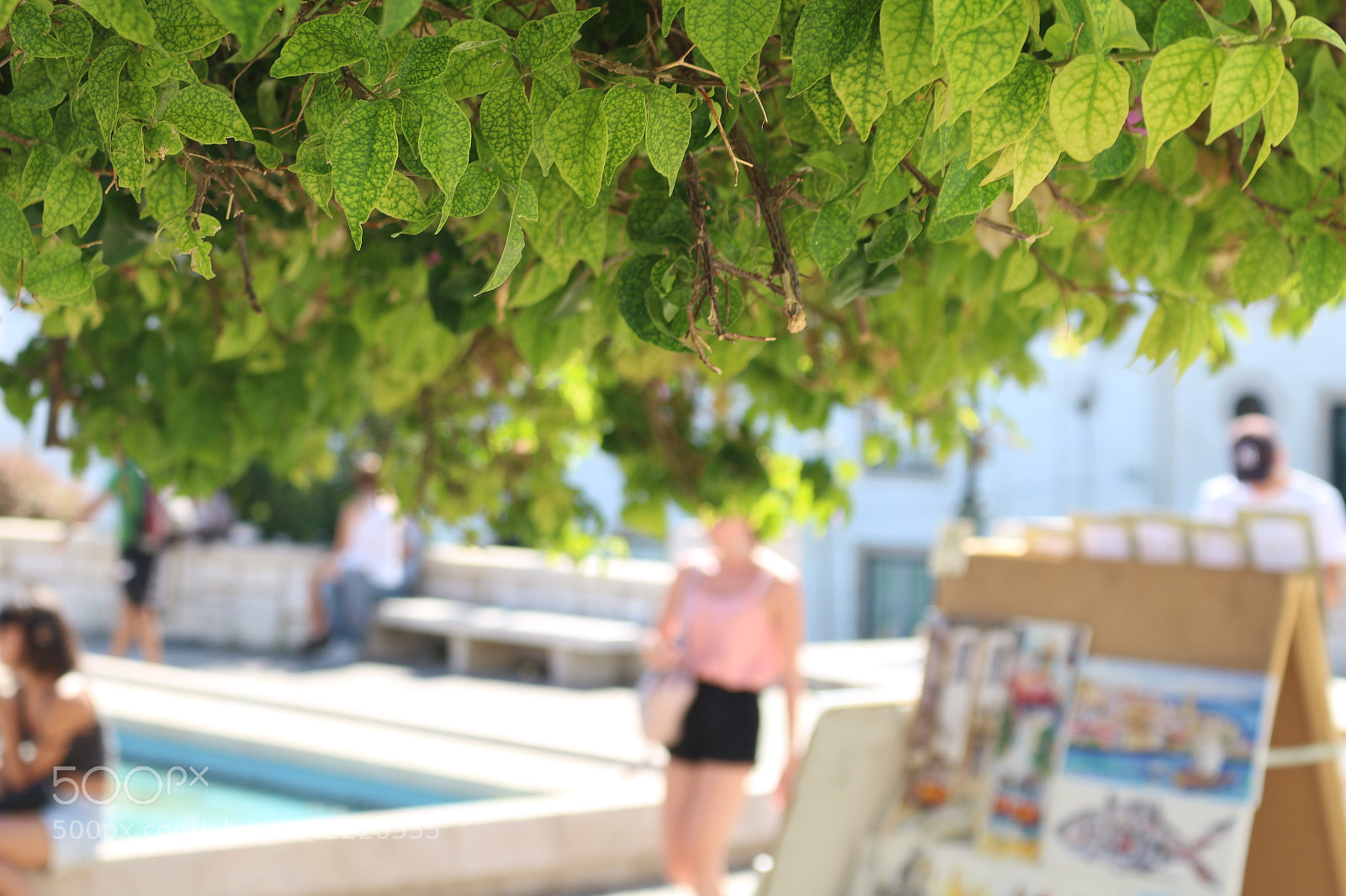 Canon EOS 100D (EOS Rebel SL1 / EOS Kiss X7) sample photo. ? photography