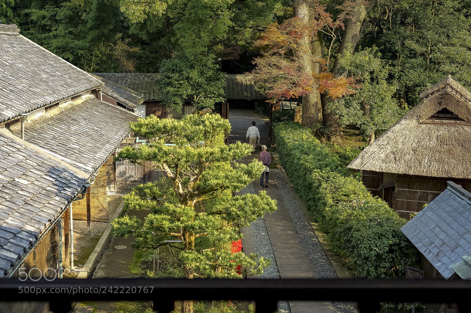 Sony a7 II sample photo. Looking at the lower photography